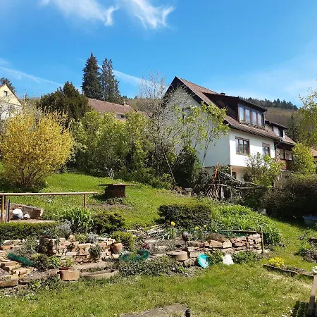 Gasthof Gästehaus Endrich Heidelberg